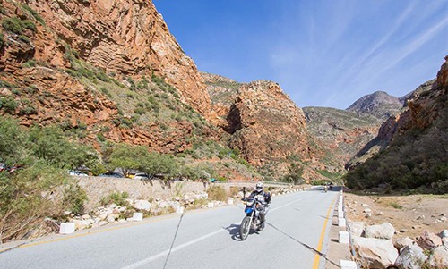 Riding with Giants - AdventureAcademy